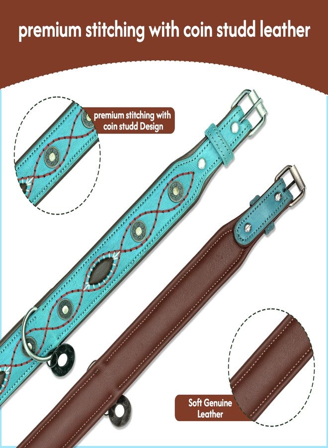 ADIL'S Adil’S Coin Studded Leather Dog Collar 1.5inch Width - Premium Stitching Design with Strong Metal Buckle & D-Ring, Suitable for Small Medium & Large Dogs, Size: S to XL, Sky Blue - Image 4